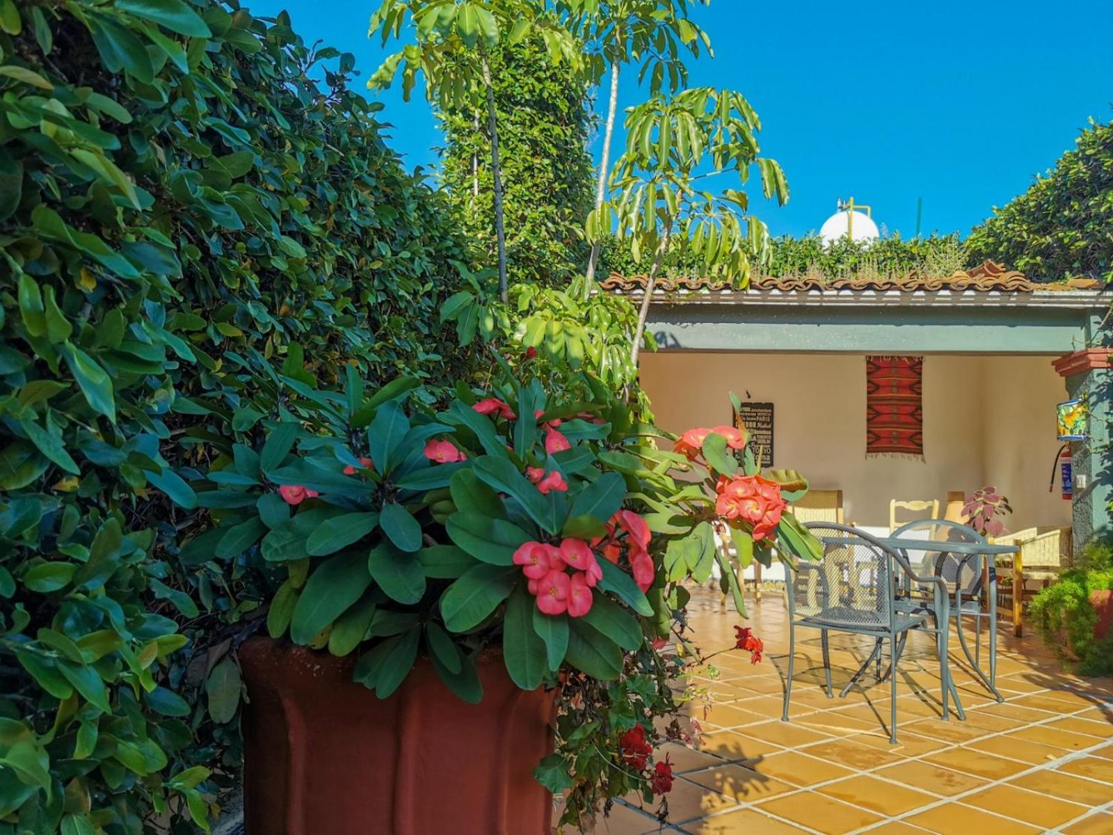 Hotel Casa Guiva Oaxaca Экстерьер фото