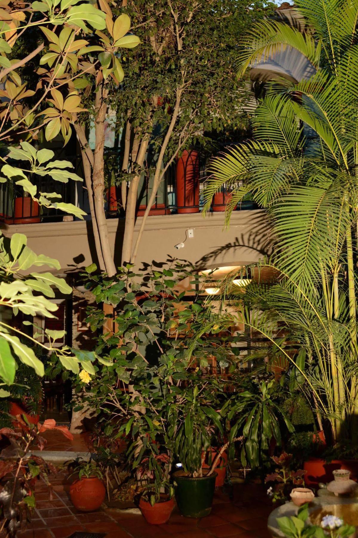 Hotel Casa Guiva Oaxaca Экстерьер фото